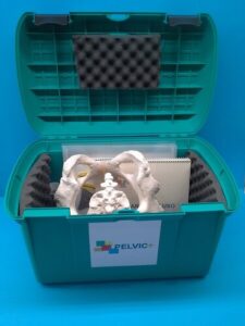 Pelvic Plus anatomy - Pack completo [Caja protectora, manuales, pelvis, musculatura] (PVP original: 1100€)
