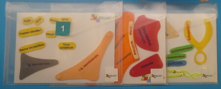 Pelvic Plus anatomy - Recambios musculatura/accesorios